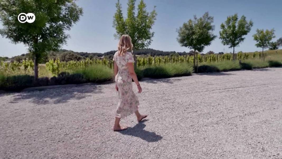 ABD'li gezgin, Ege'de gördüklerine inanamadı! Video çekip tüm dünyaya duyurdu 7